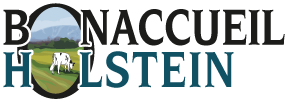Bonaccueil Holstein